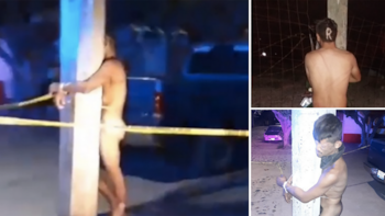 En una semana se han