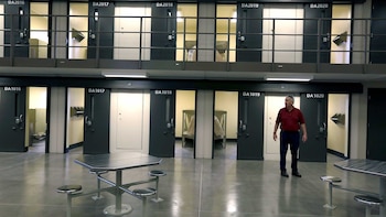 Las diminutas celdas