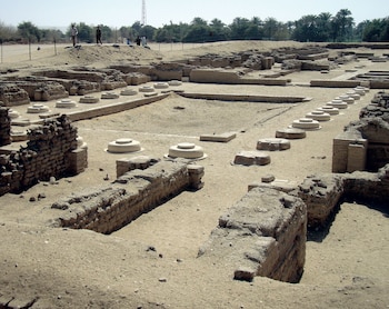 Una imagen de la misteriosa