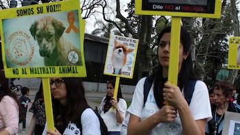 Marcha por los derechos de