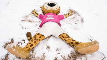 Pandi, la mascota de los