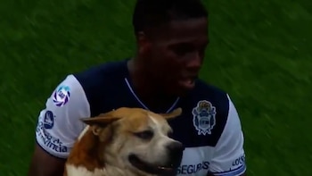 Imagen 2NEJXQ2P4FB3FJHCE35NGHWZMM