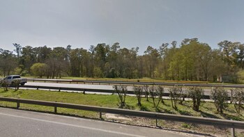 Bosque en Ezeiza, frente al