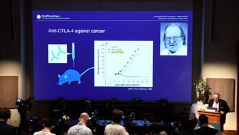 El galardón compartido con James