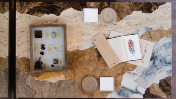 Martínez desarrolló en Central un