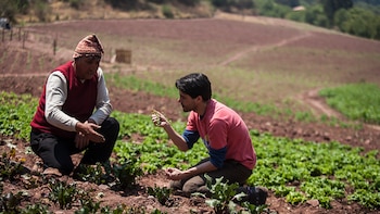La búsqueda de nuevos ingredientes