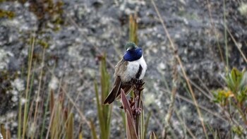 Imagen: Francisco Sonorza