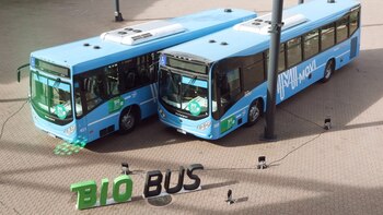 Santa Fe buscar probar que el transporte de colectivos puede funcionar con 100% de biodiésel