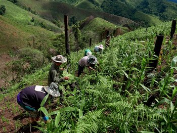 Yami, de 12 años, junto
