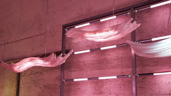 El estudio Floris Wubben presentó una colección de objetos de iluminación, “Crystal Shift” y “Crystal Twist”. En su investigación sobre la estética de los objetos rotos, utilizó el material Solid Surface HI-MACS