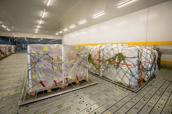 La nueva Terminal de Cargas