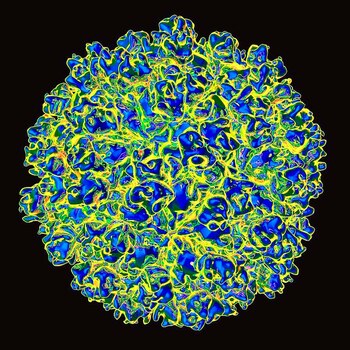 Un hombre de 56 años,