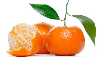 Los aceites en la cáscara