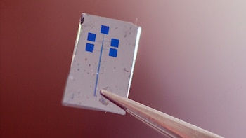 El semiconductor contiene material orgánico biodegradable (EFE/Archivo Universidad Nacional Australiana)