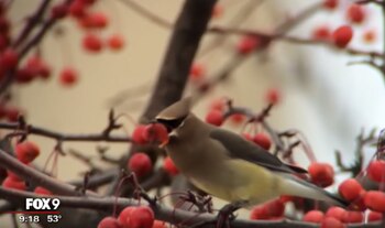Los vecinos de la ciudad