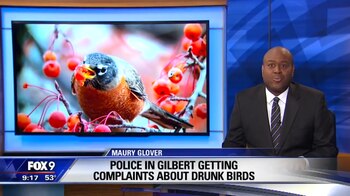 (Captura: FOX 9 News |