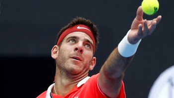 Del Potro terminó número cinco