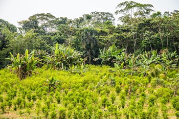 Foto: Alejandro Osses