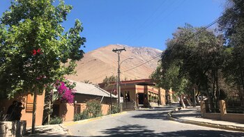 Viajar al Valle del Elqui