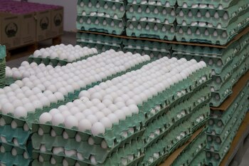 En los próximos días, desde