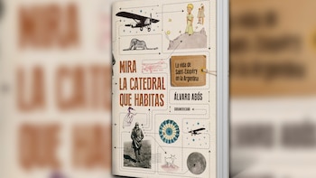 Mira la catedral que habitas