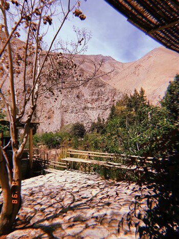 El contraste de colores de