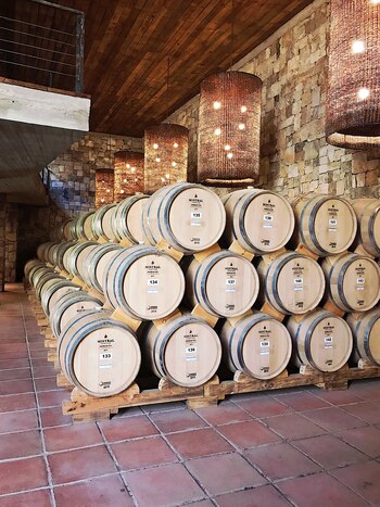 Barricas de roble americano para