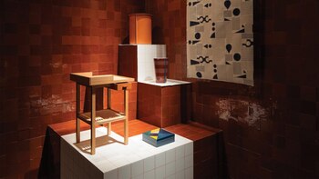 El color, la armonía, los