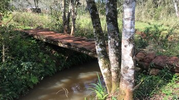 Hasta el momento, las familias tienen que cruzar en puentes improvisados realizados con troncos