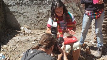 Clara Correa, presidente de la Asociación “Pájaros Caídos” en plena tarea de rescate