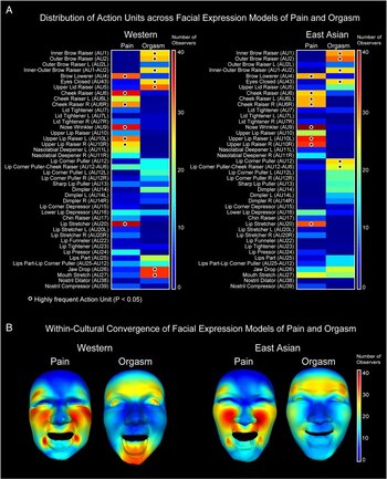 A partir de distintas unidades