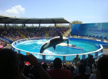 Imagen SX7HMNIXQBCPRDSWR3WCFLUINA