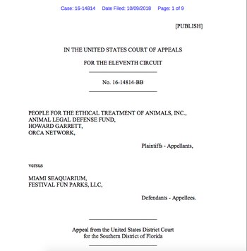 Imagen HBVPV4ZSPRCJDEX4V376NJEEDA