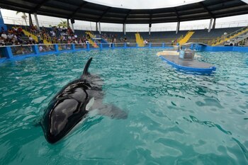 Imagen RPM3FJT2KVAQPJVWG7VPHVVBAA