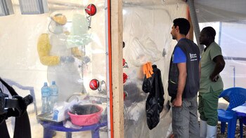 Hasta la fecha se ha