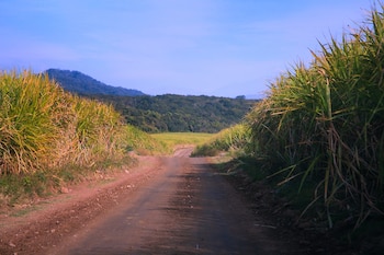 Imagen NIZCYGZEKJAUTGNKQRTM4SYF4Y