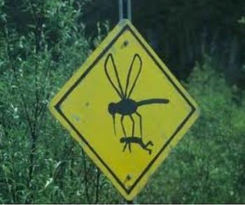 Para advertir la abundancia de los gallinipers en una zona boscosa hay quienes usan el sentido del humor con carteles como este