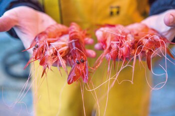“Soy cocinero porque es lo