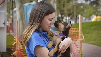 Campañas de adopción de perros.