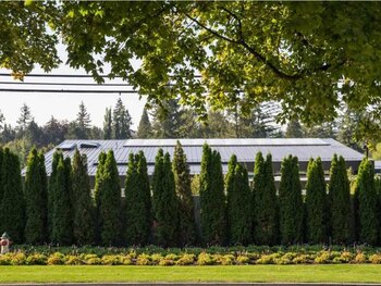 Es difícil ver la mansión