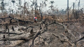 Fotografía de la Amazonia colombiana