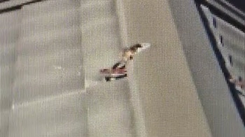 Meteorito encontrado en Japón (@Soc_AstroCaribe)