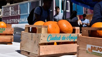 Esta campaña se lleva a