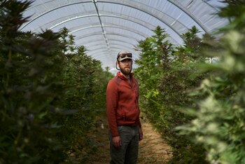 John De Friel, director general