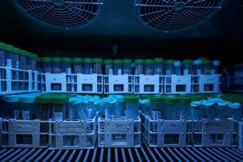 Este refrigerador de la granja