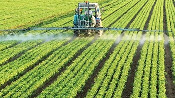 Se estableció un tope de