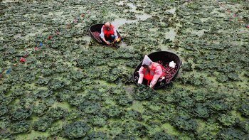 El caso reavivó la discusión