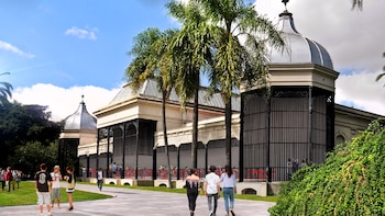 Proyecto para le felinera una