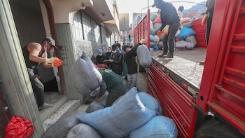 La hoja de coca sirve para abono (EFE/ Martin Alipaz)