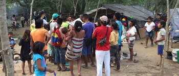 Cerca de 500 indígenas se